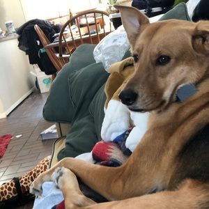 Meet your Posher, Samantha